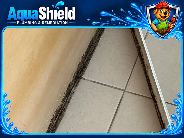 Dark mold running along the base of a wall where it meets the floor tile